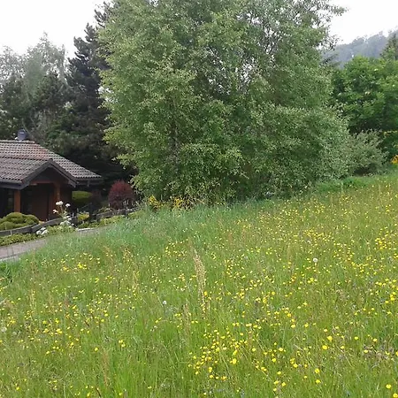 Woodland