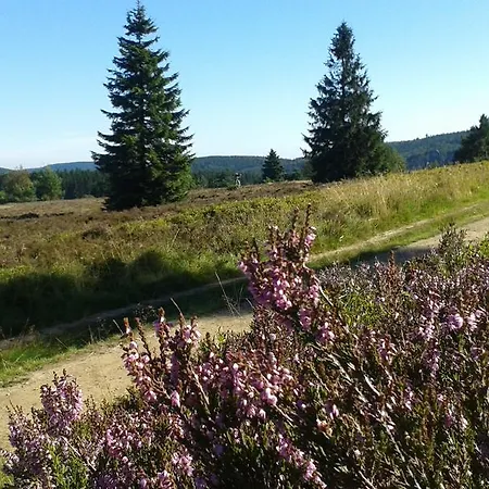 Tatil Evi Woodland Winterberg